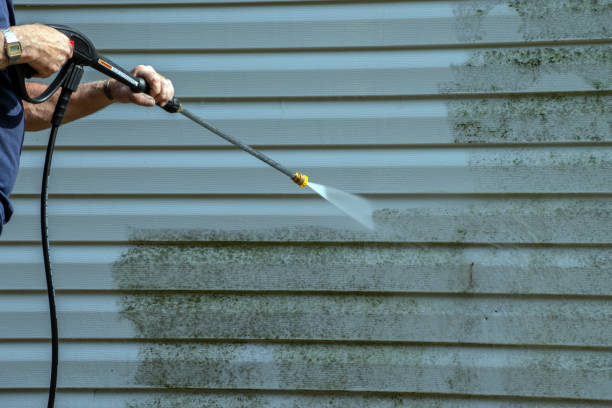 Best Roof Washing  in Waterloo, IN